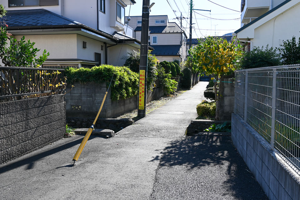 橋