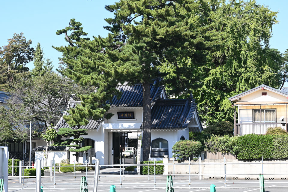 禅林寺