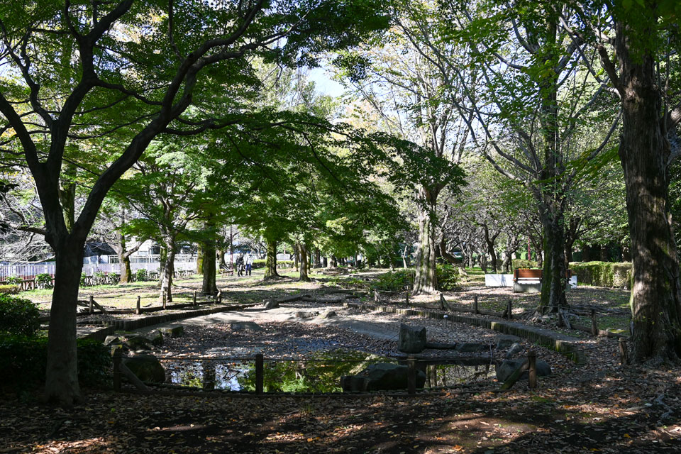 仙川平和公園