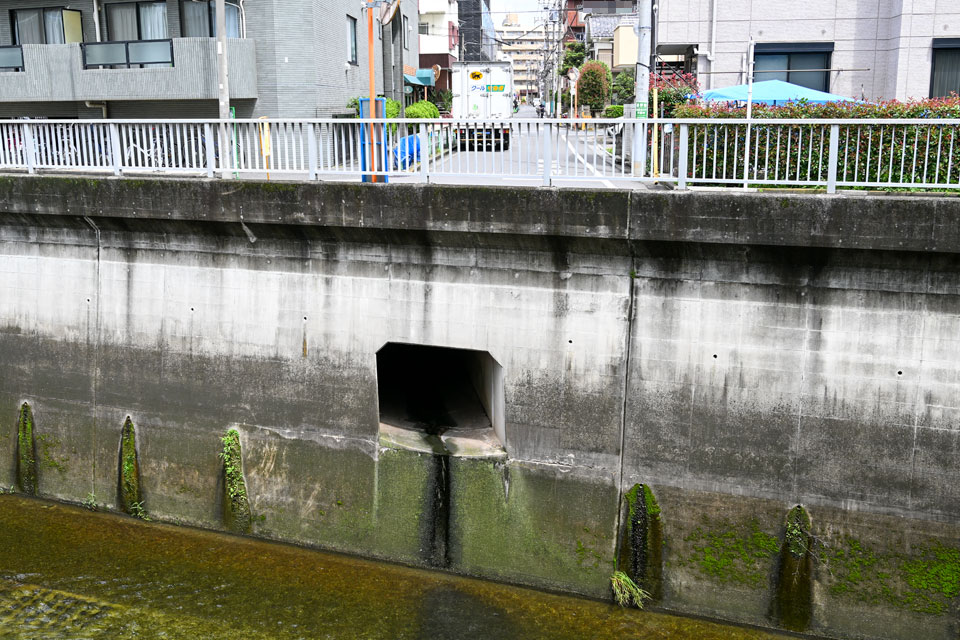 排水口