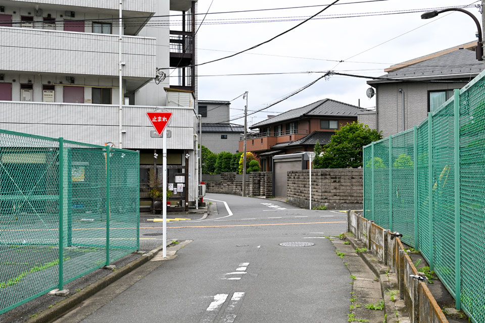 放射36号
