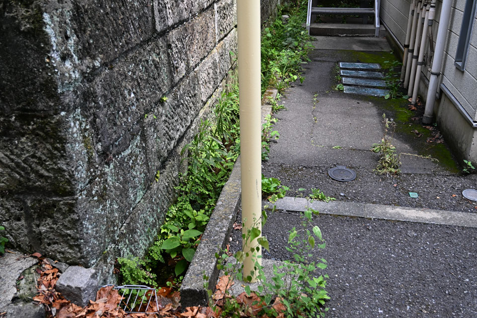 湧水