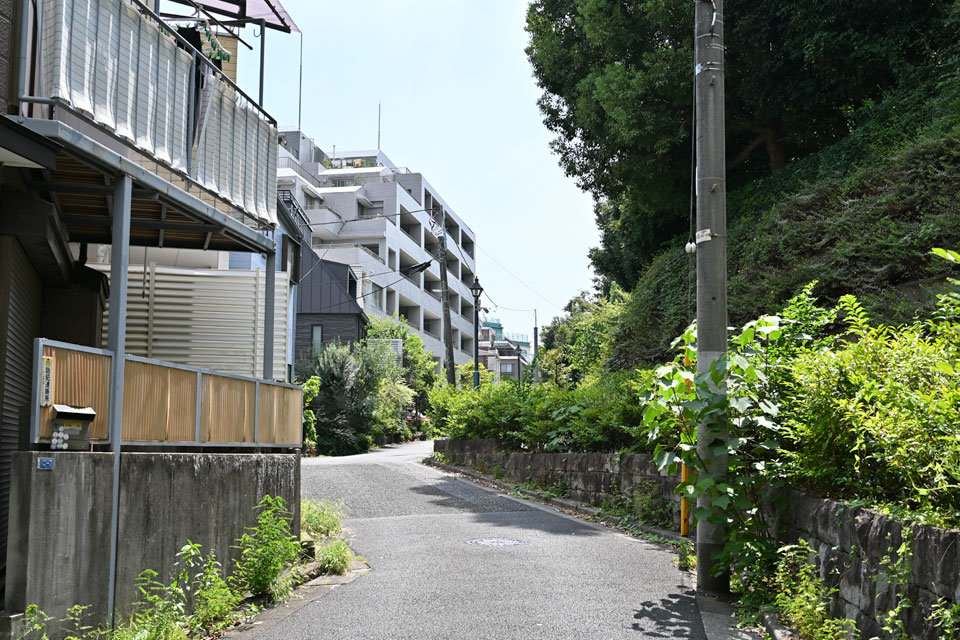 坂