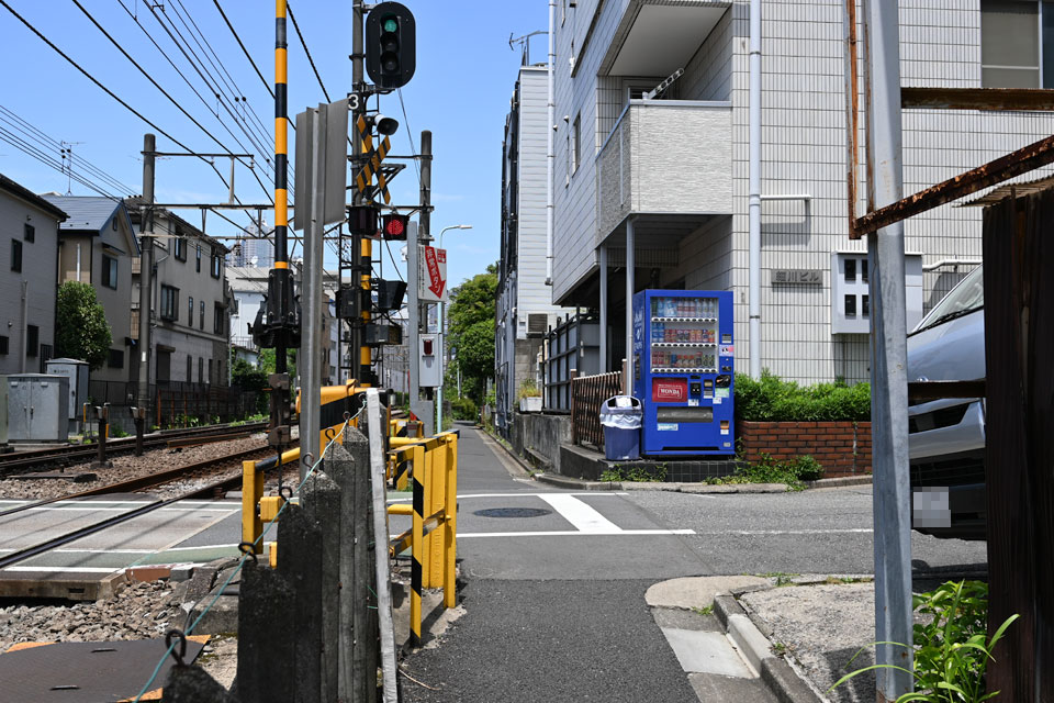参5