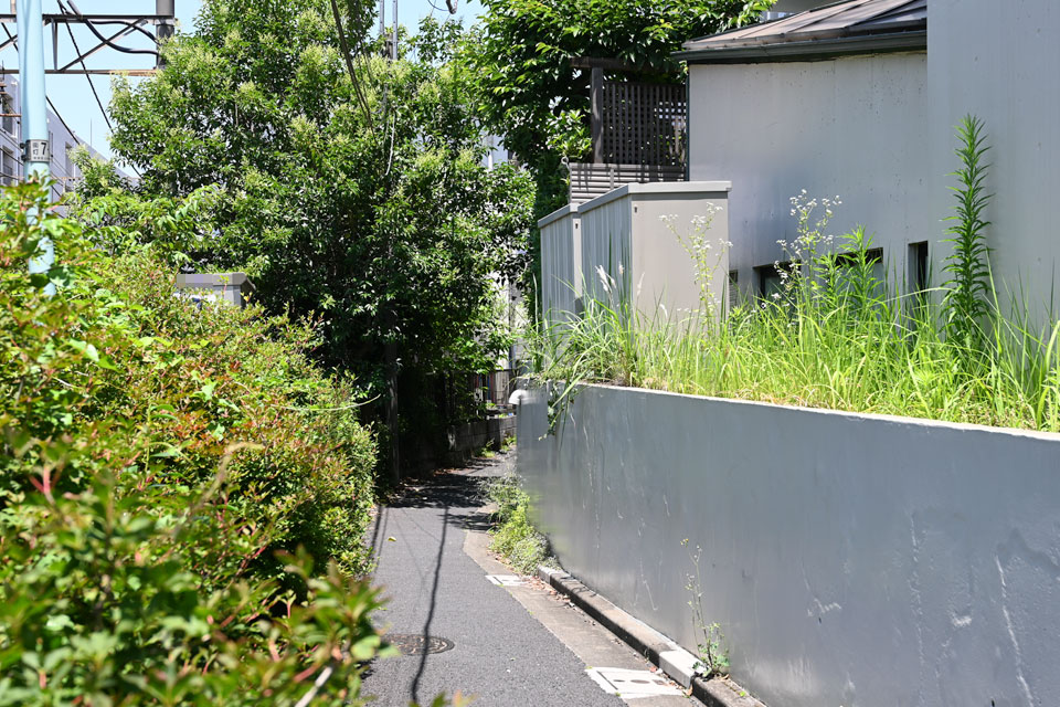 細道