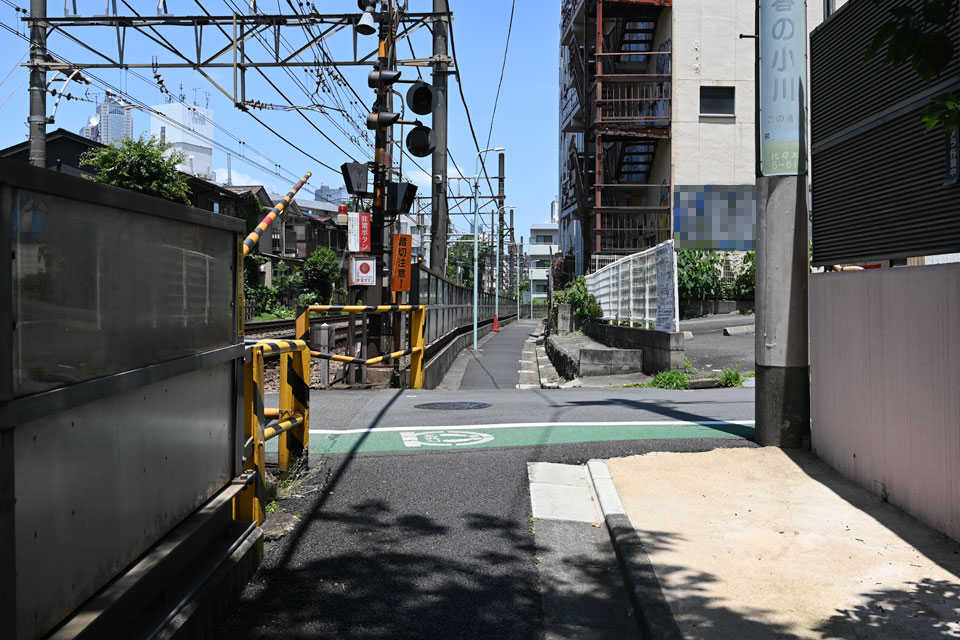 参4