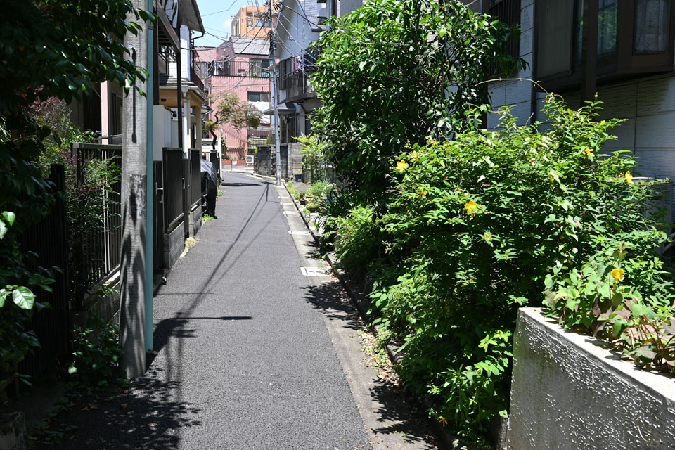 家並