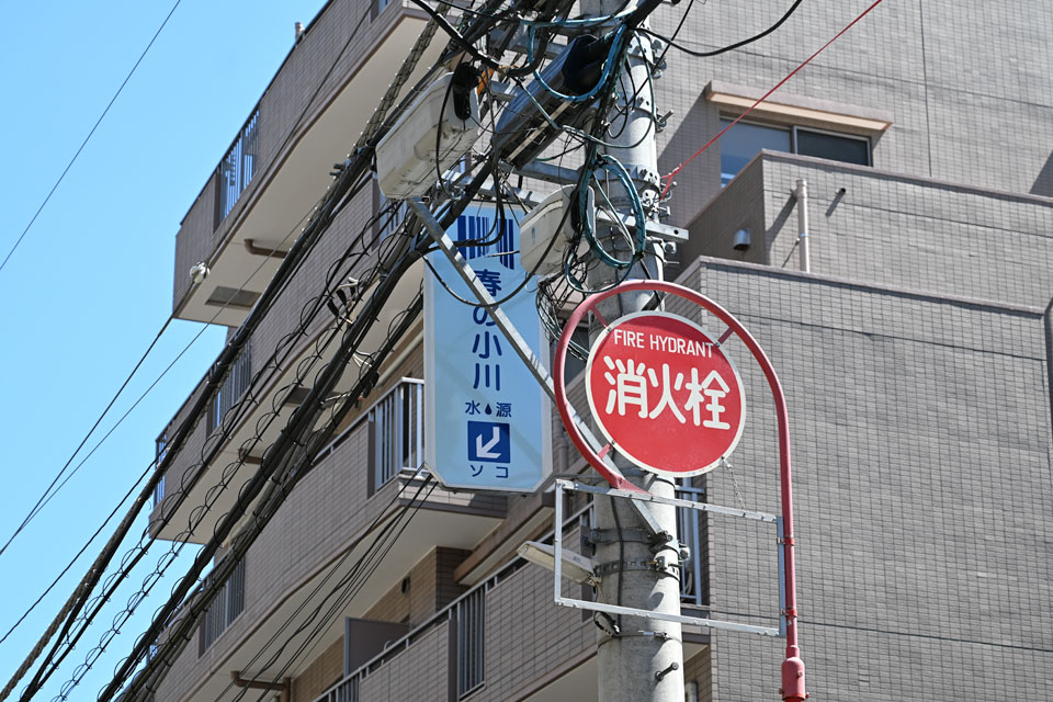 ソコ