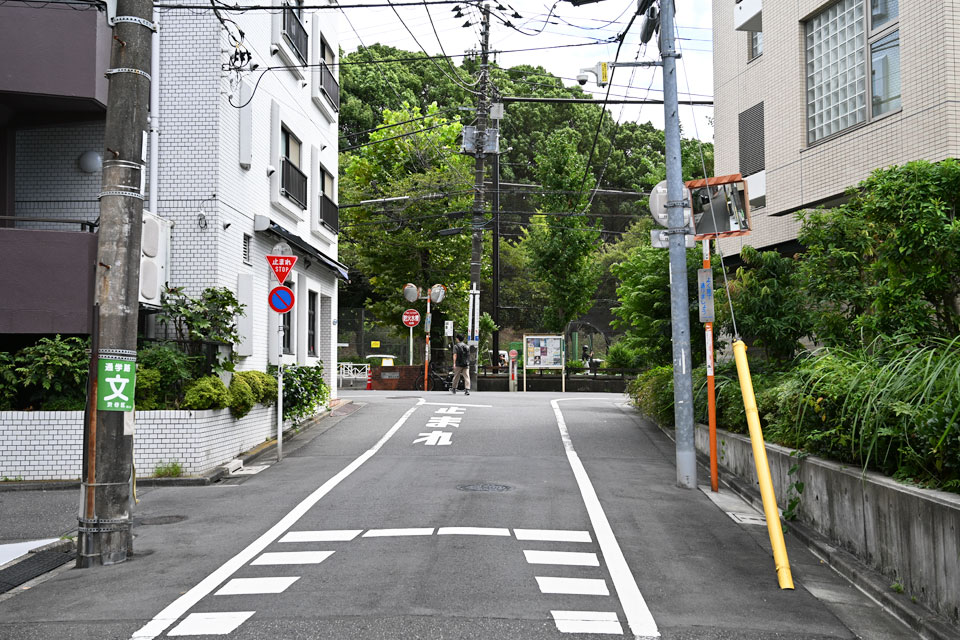 東側支流へ