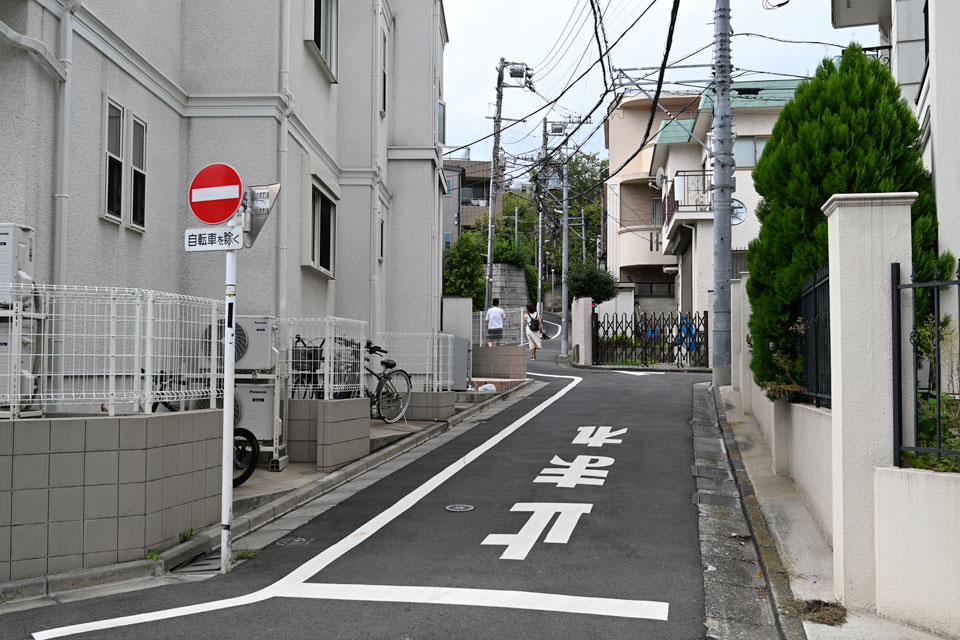 谷筋