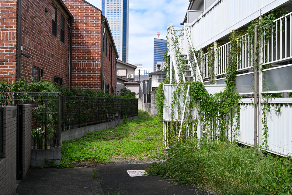草むら