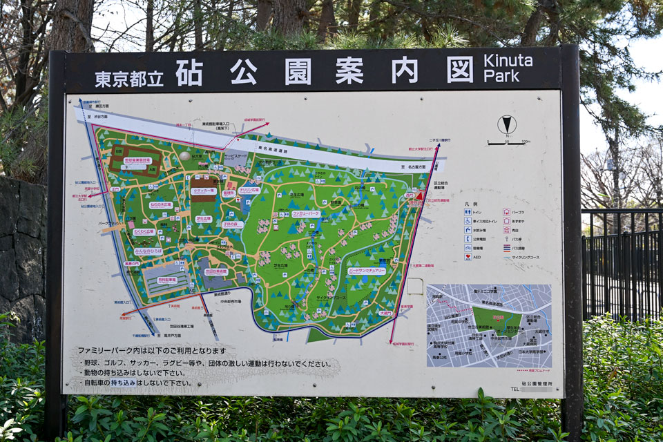 砧公園