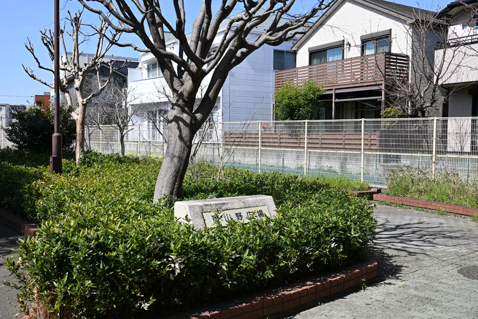 東山野広場