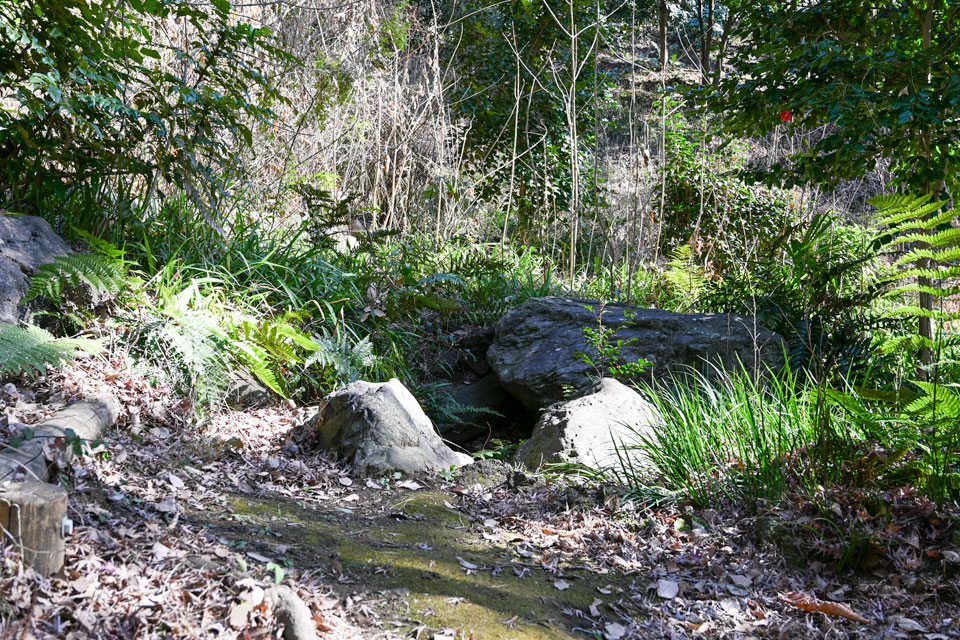 湧水と小川