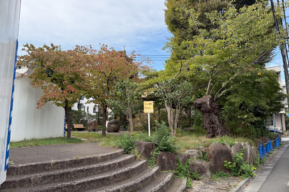 和田公園