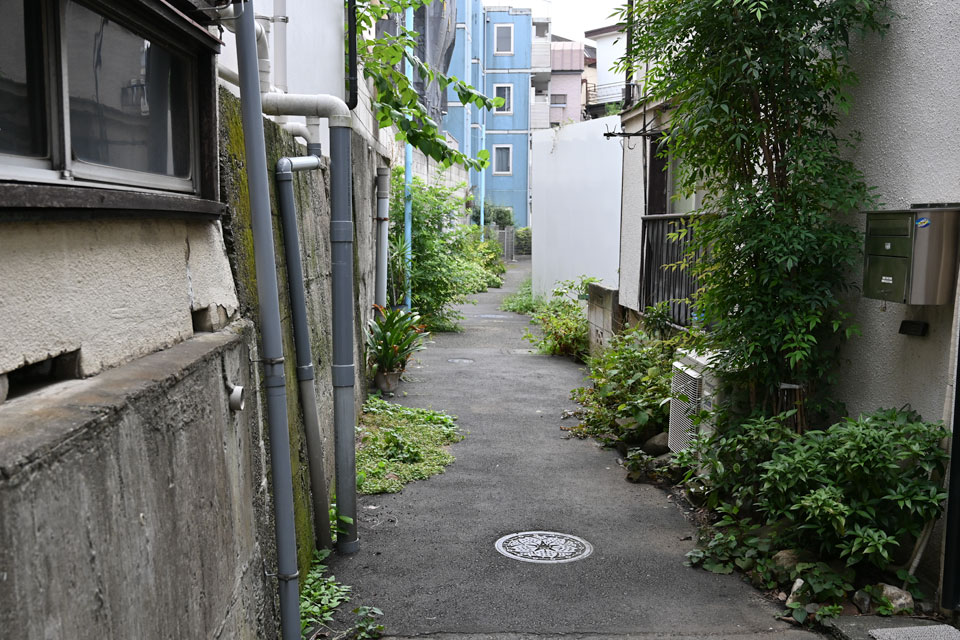 排水管