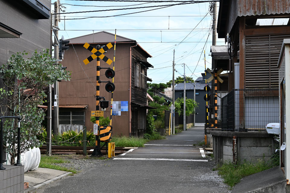 長1