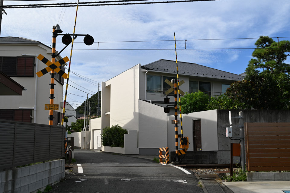 長4