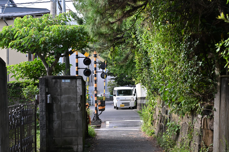 長5