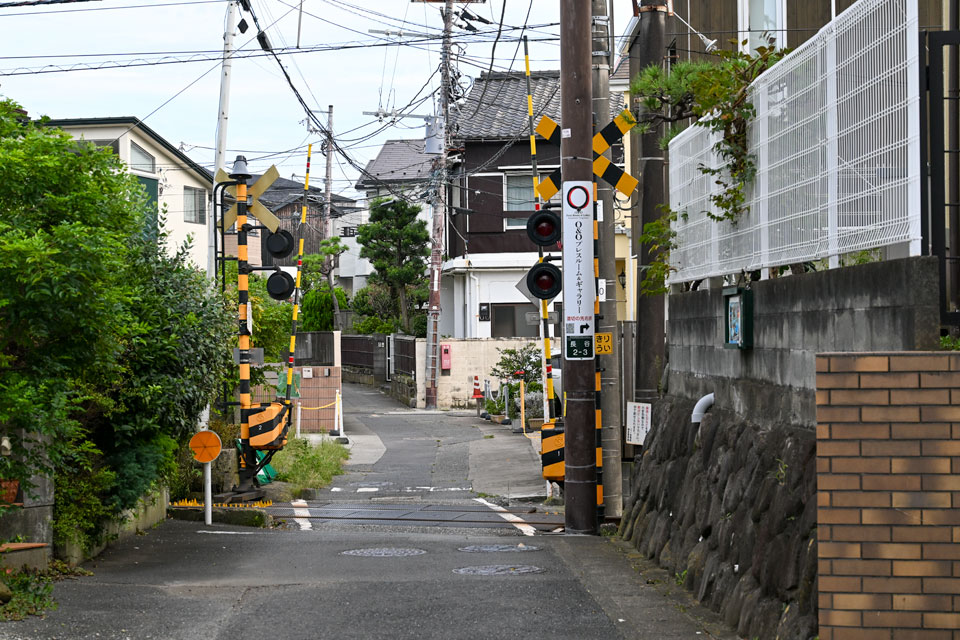 長6