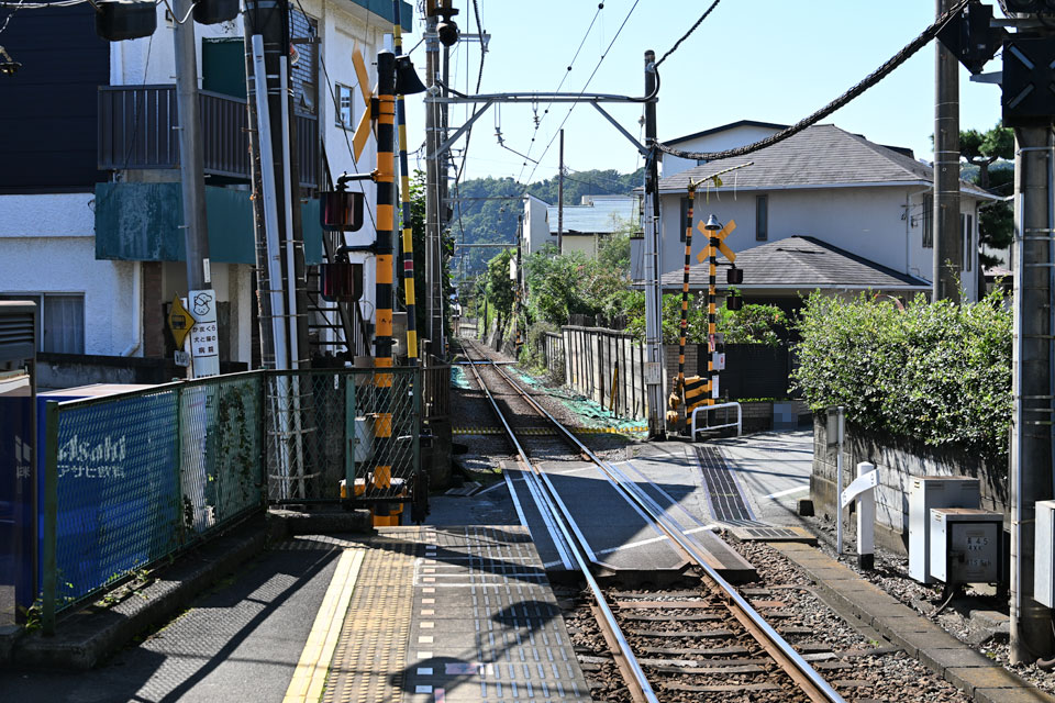 長7