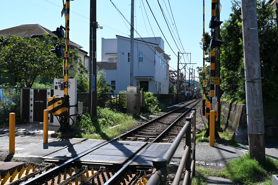 由3