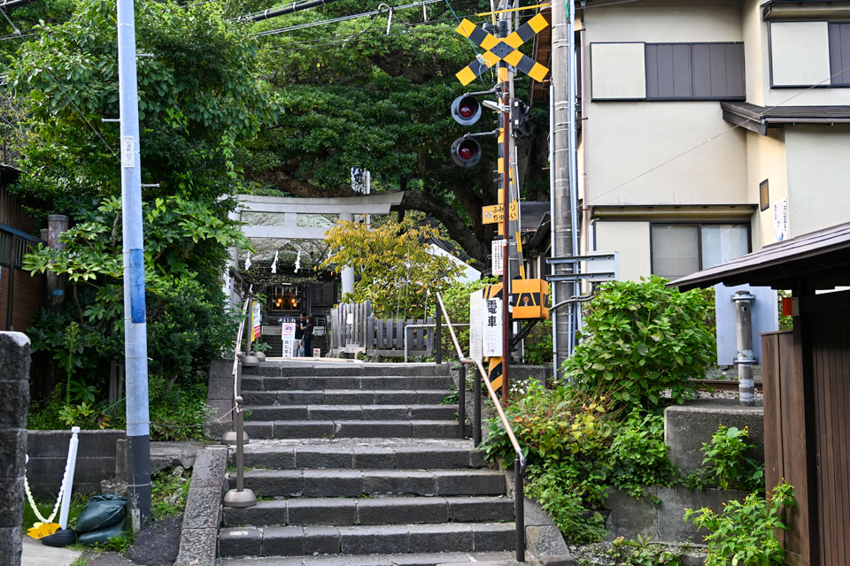 極1