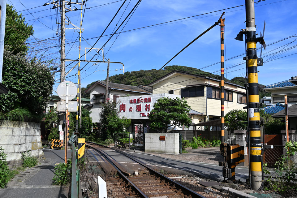 稲1