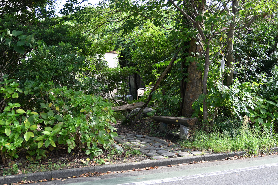 ベンチ