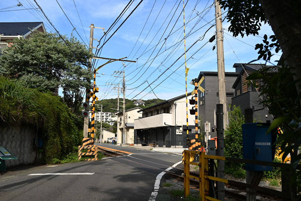 稲2