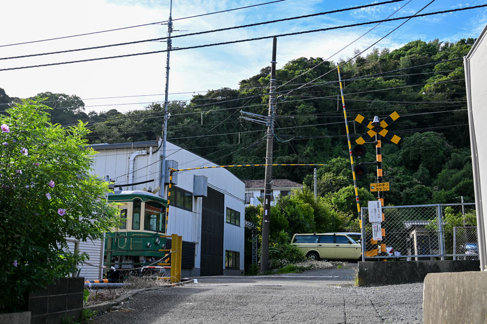 稲4