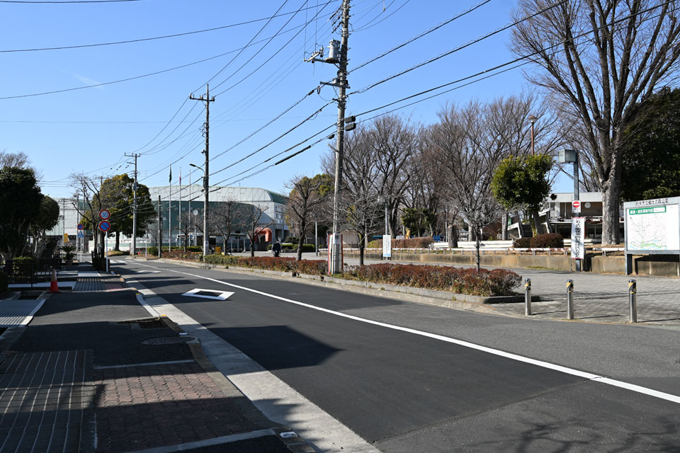 郷土の森公園