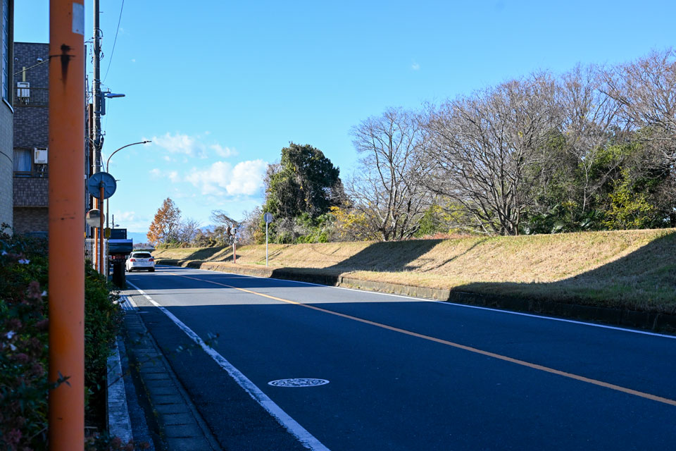 多摩沿線道路