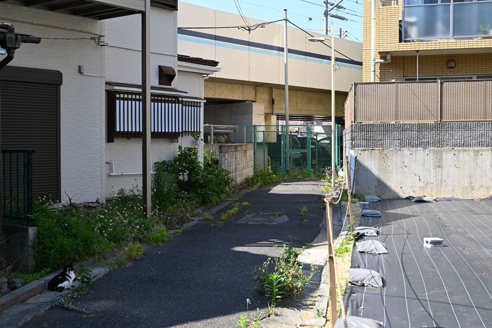 斜め