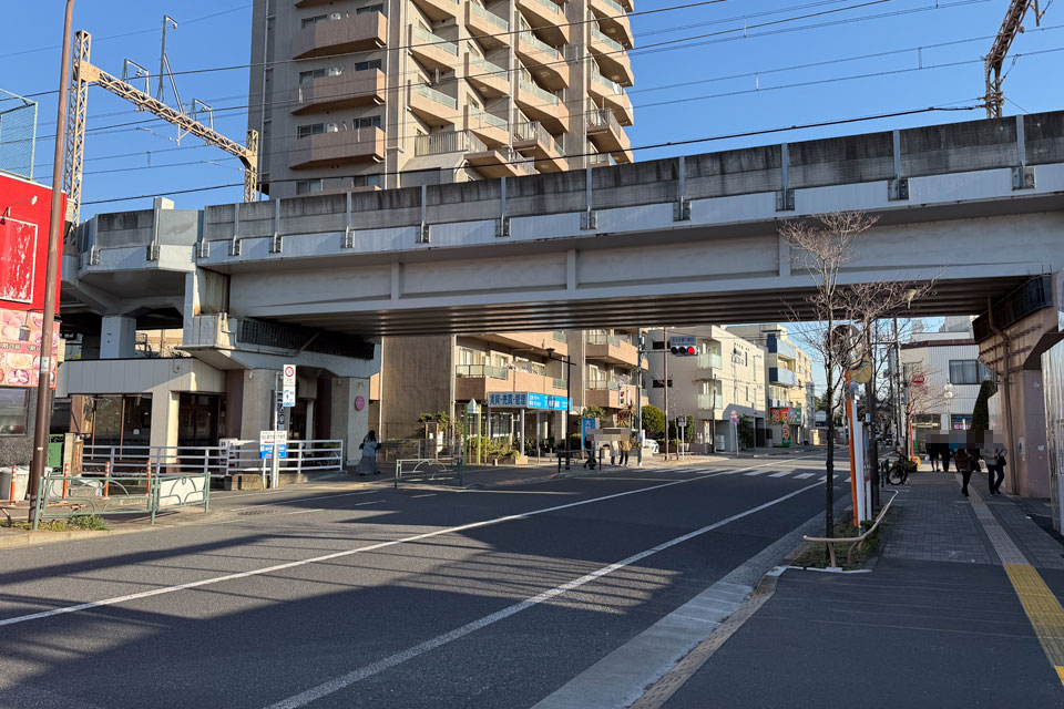 桜堤通り