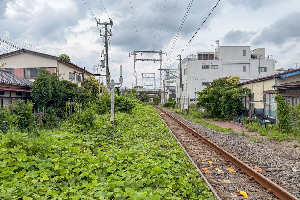 新金線