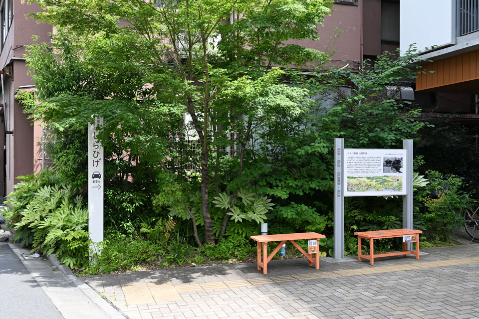白鬚駅跡