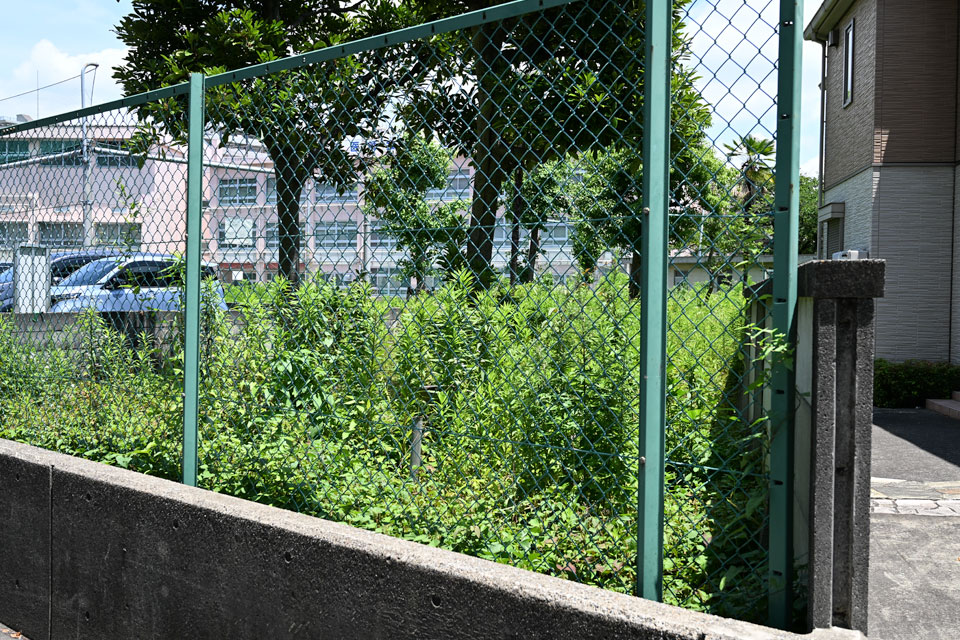 軌道跡?