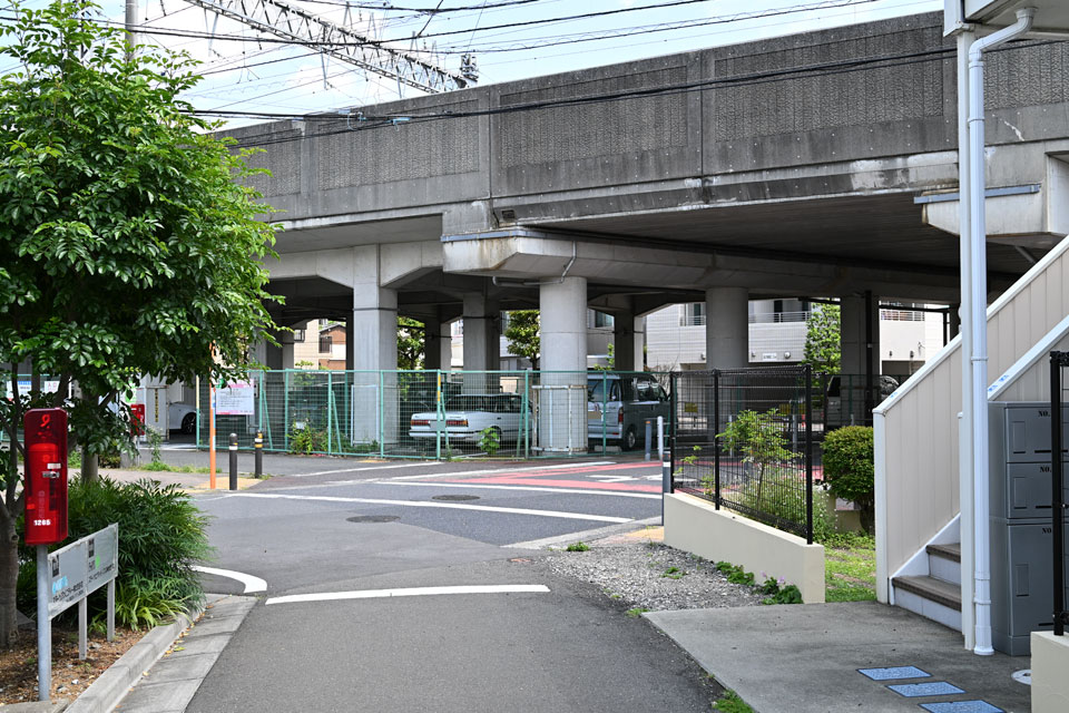 旧道?