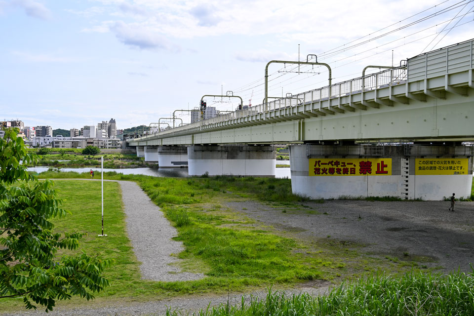 多摩川