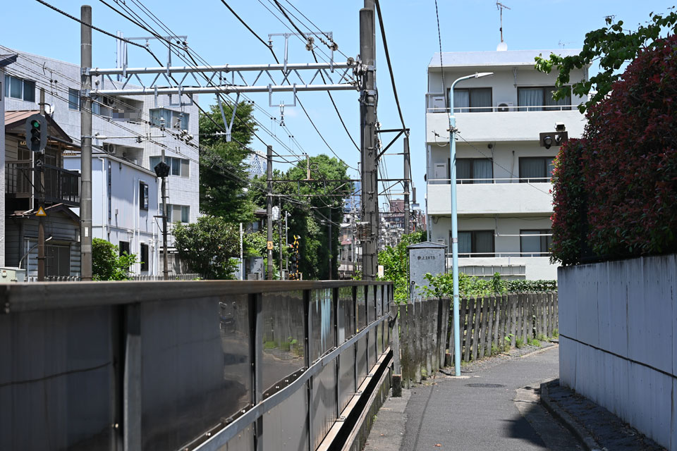 河骨川