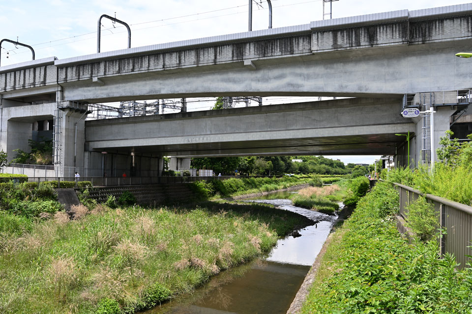 野川