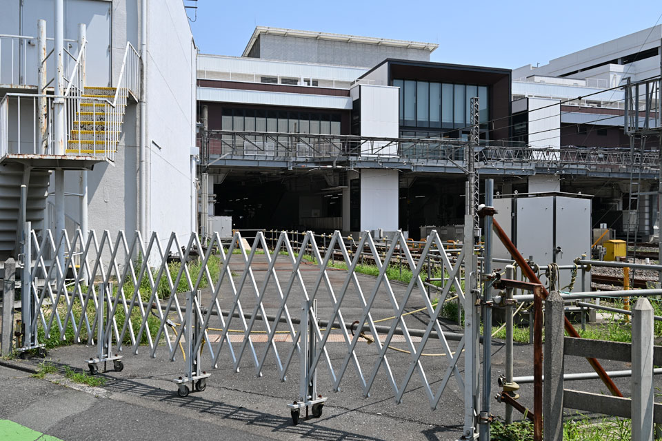 分岐跡