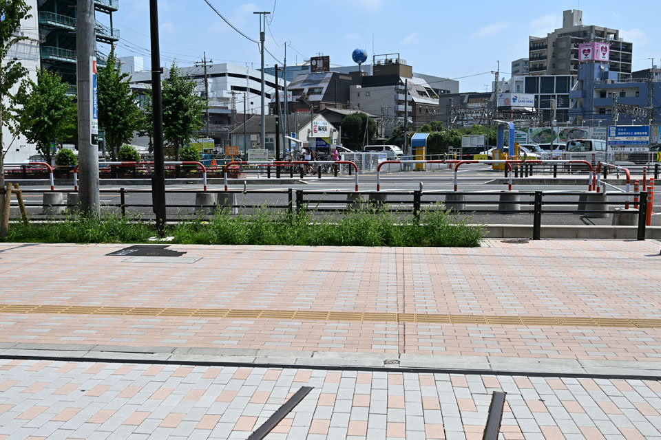 県道