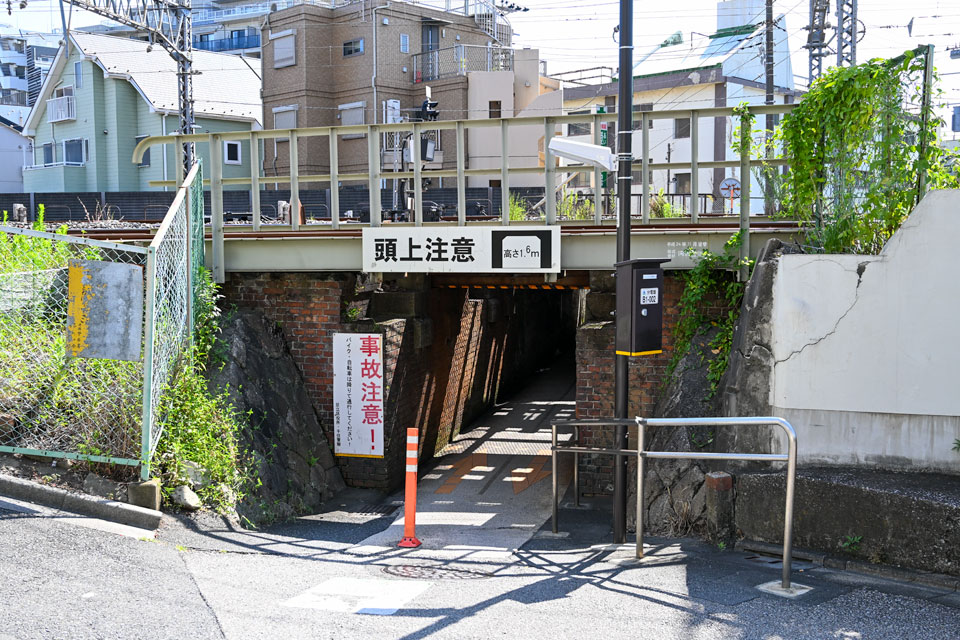 高さ1.6m