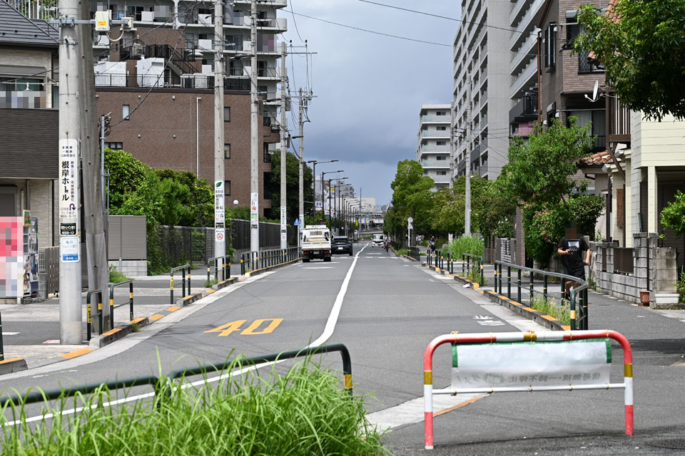 亀田トレイン通り