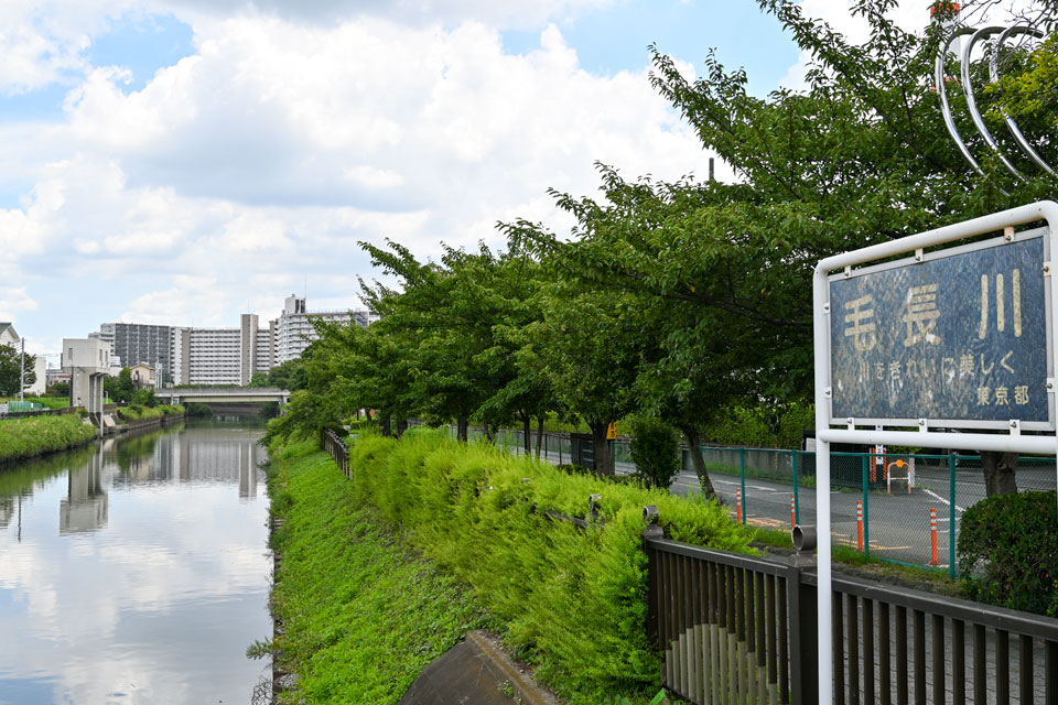 毛長川