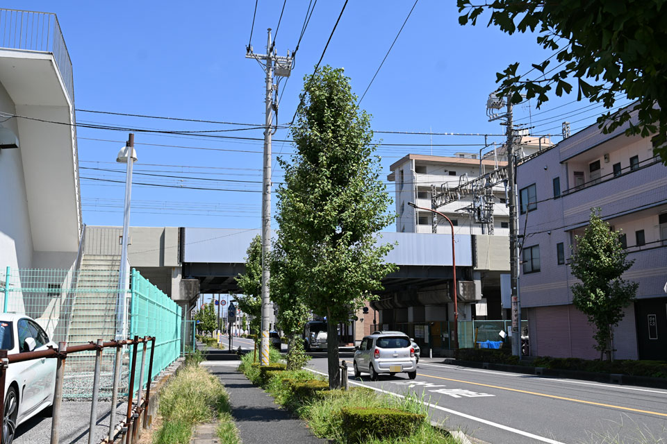 金明通り