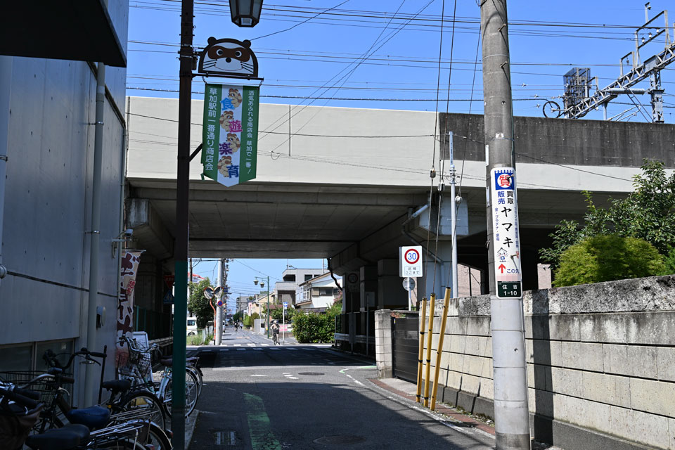 伊50