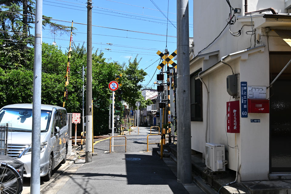 亀5